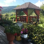 відпочинок у пронів