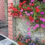 відпочинок у пронів *