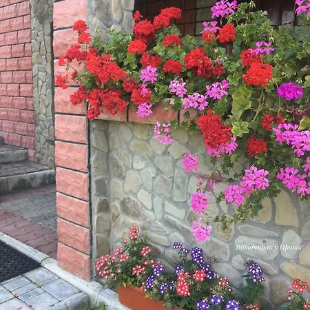 відпочинок у пронів *