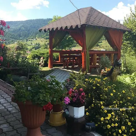 відпочинок у пронів