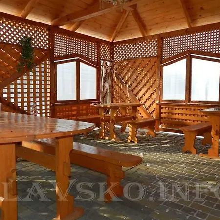 відпочинок у пронів Slavske